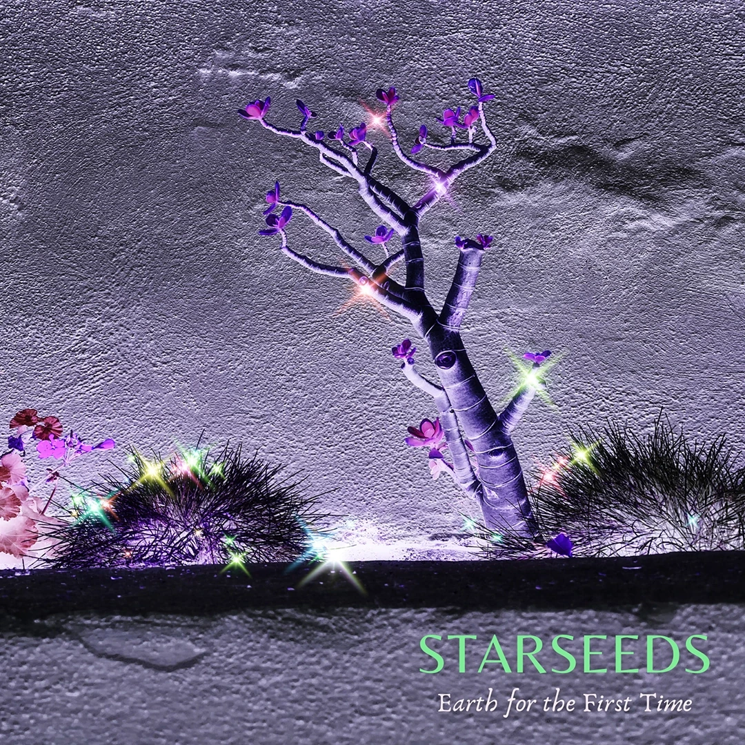 AwakeCon — Starseeds: Earth for the First Time