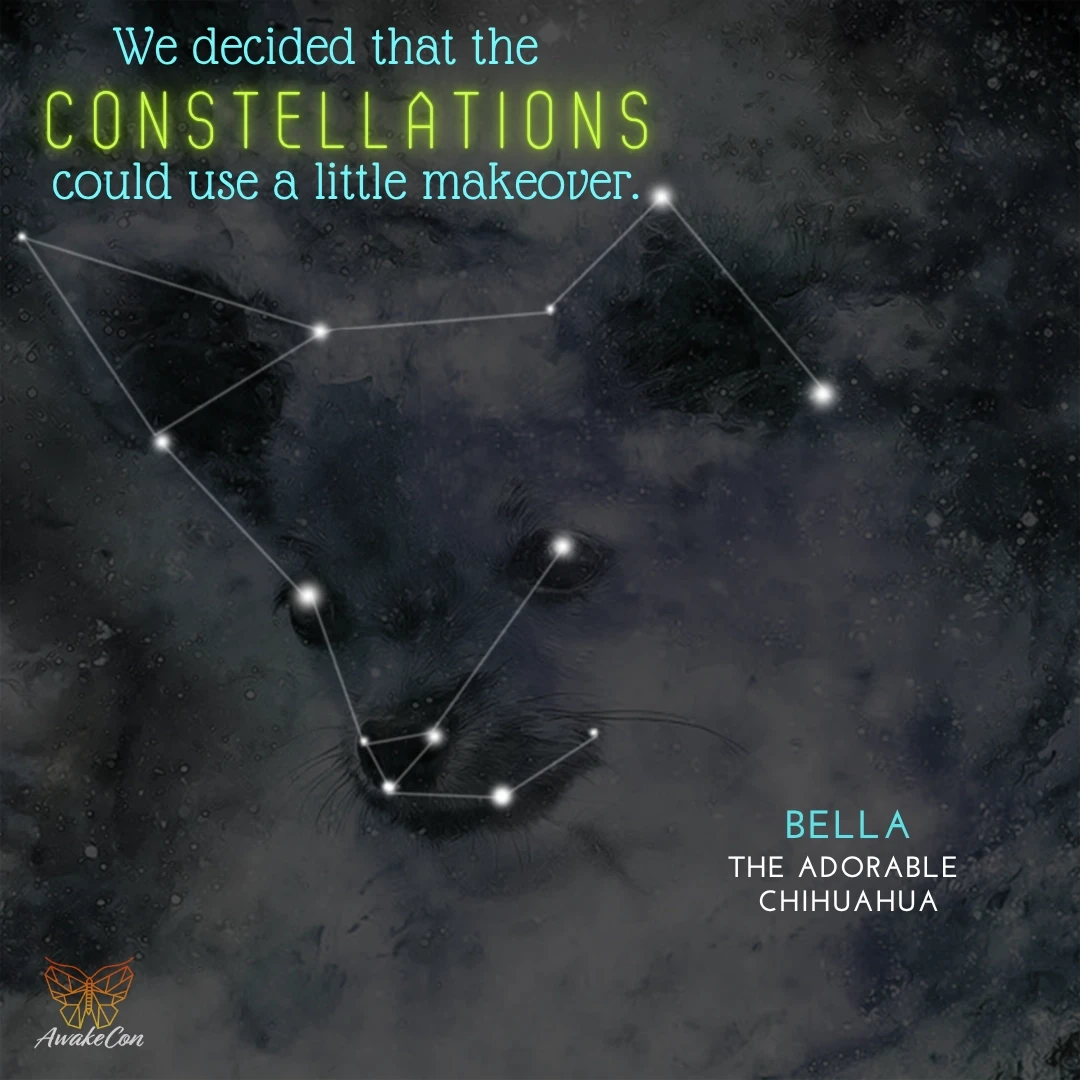 AwakeCon — Bella the chihuahua as a constellation