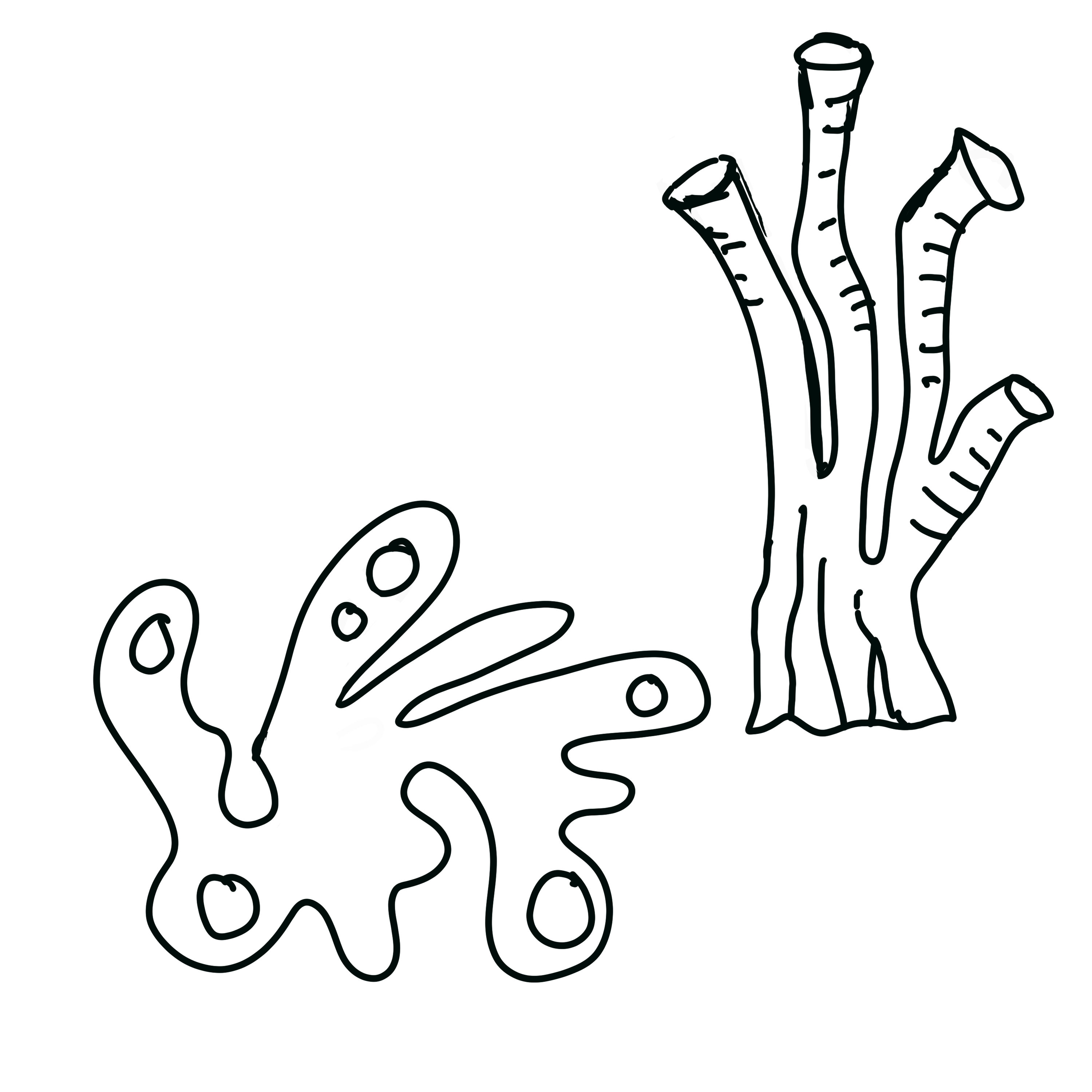 Hand-drawn line sketch of two organic sculpture shapes